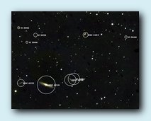 NGC 4222.jpg